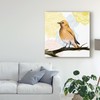 Trademark Fine Art Grace Popp 'Mandala Bird Ii' Canvas Art, 18x18 WAG06546-C1818GG